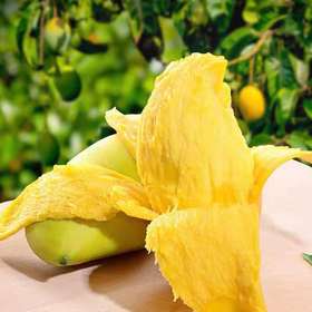 云南鹰嘴芒优级果 9斤普通装