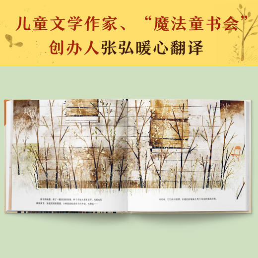 [小读客]被树举起的房子 商品图10