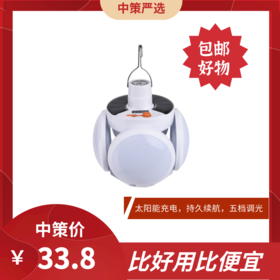 LED充电照明灯  户外家用停电挂灯太阳能野外应急露营灯摆地摊夜市3.82