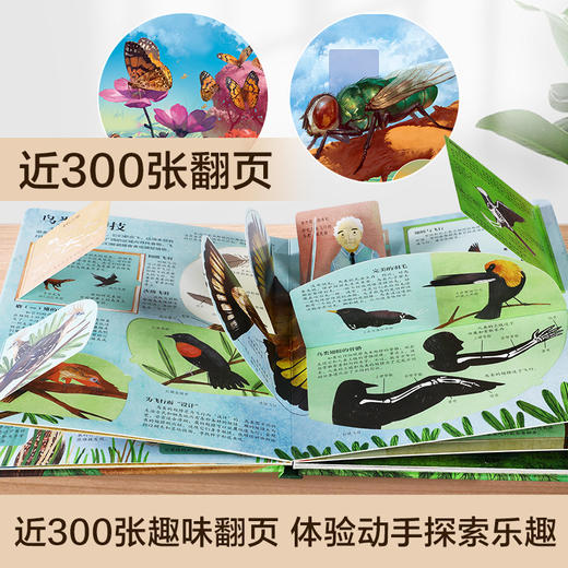 【常青藤爸爸】乐乐趣揭秘翻翻书系列第六辑（共4册） 商品图3