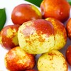 新鲜大荔冬枣 商品缩略图0
