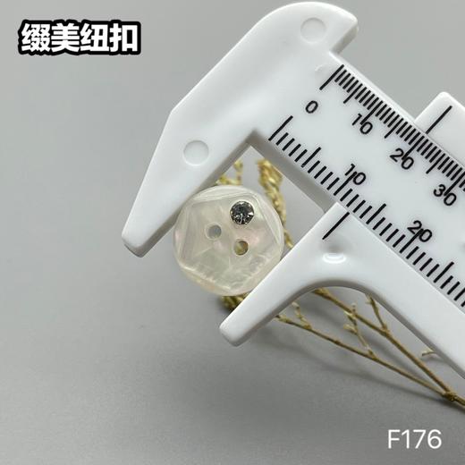 F176(整包购买) 商品图5