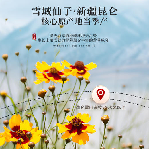 福东海雪菊新货昆仑雪菊50g 泡茶用花草茶 商品图3