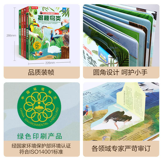 【常青藤爸爸】乐乐趣揭秘翻翻书系列第六辑（共4册） 商品图6