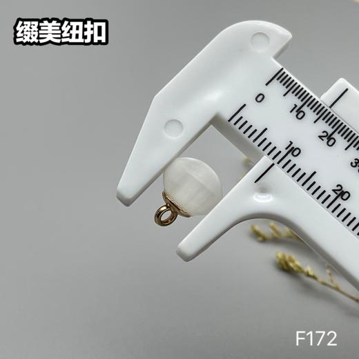 F172(整包购买) 商品图4