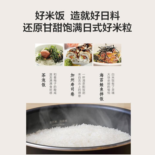 日本东芝RC-18MSPC智能电饭煲 小型迷你电饭锅多功能家用电饭煲日本智能5L 商品图2