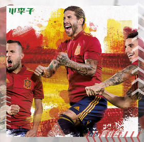 欧洲杯 西班牙客场球迷版球衣FR8361