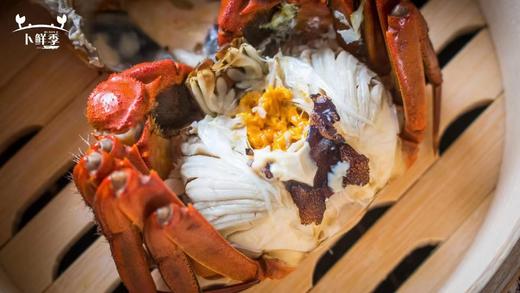 ‼️残蟹有福利🧧第8年大闸蟹一口鲜｜蟹黄饱满  顺丰包邮 商品图6