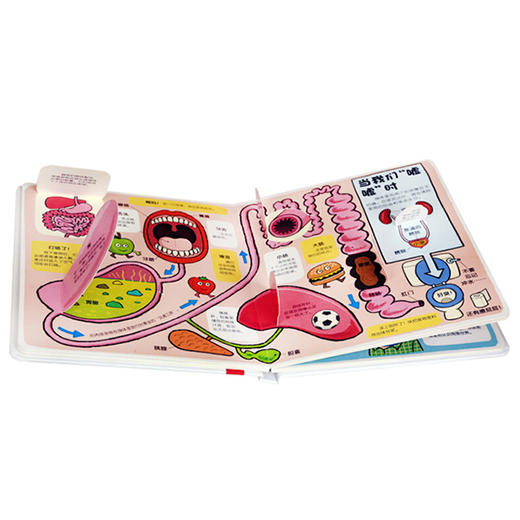 乐乐趣科普翻翻书 小小探险家 第一辑+第二辑（共4册） 商品图6