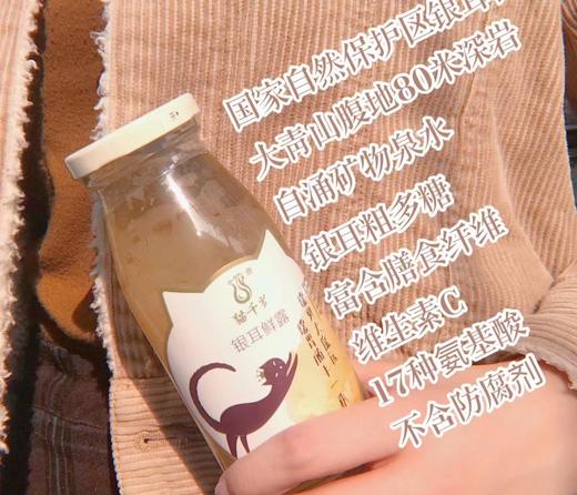 【猫千岁银耳鲜露】6瓶/箱，有机鲜银耳，0防腐剂，0脂肪 商品图2