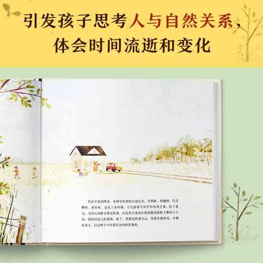 [小读客]被树举起的房子 商品图7