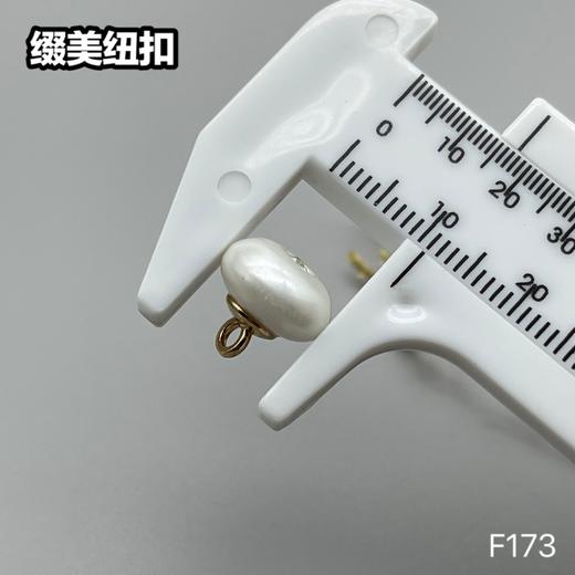 F173(整包购买) 商品图6