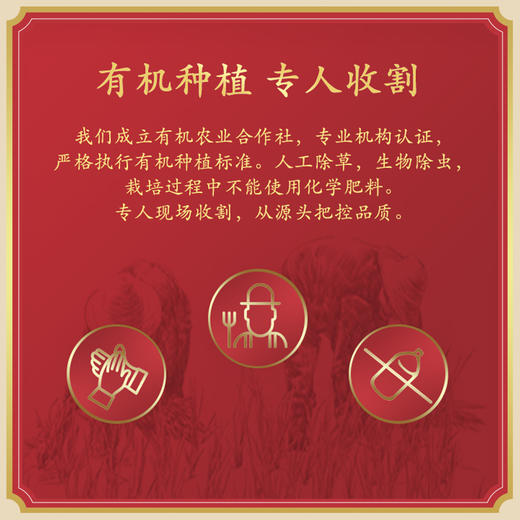 【直发】柴火大院 五常有机稻花香大米 5kg 五常大米 东北大米 有机大米 当季新米 十斤 商品图4