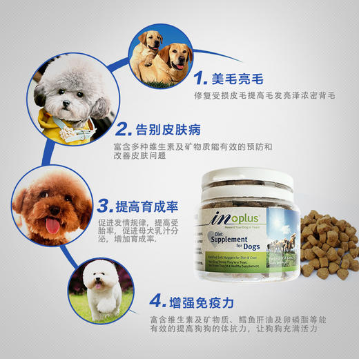 麦德氏卵磷脂宠物鱼油成犬幼犬爆毛粉美毛软磷脂65g 商品图1