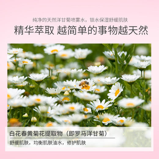 【保湿喷雾】采词洋甘菊保湿喷雾水爽肤补水保湿喷雾清爽不油腻化妆水 商品图2