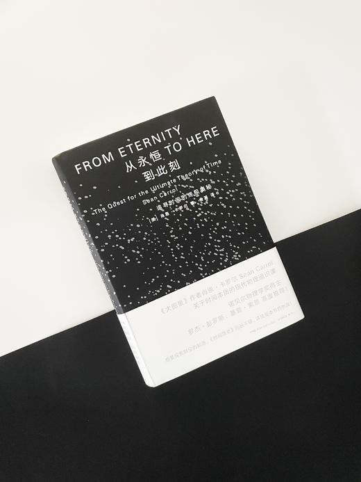 肖恩.卡罗尔三部曲（隐藏的宇宙+大图景+从永恒到此刻） 商品图4