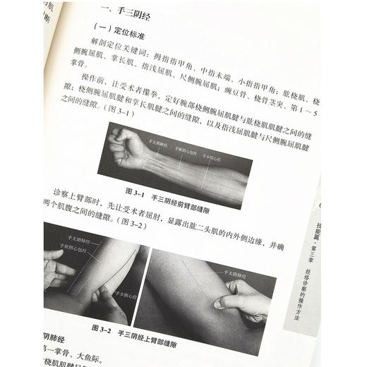 经络诊察与推拿临床思维训练 商品图4