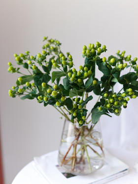 【周四秒杀】清凉绿色相思豆十枝39.8元