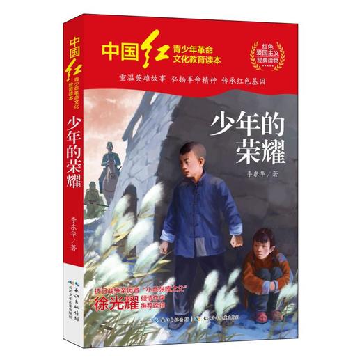 少年的荣耀 商品图0