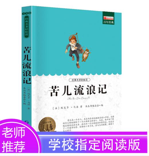 苦儿流浪记 商品图1