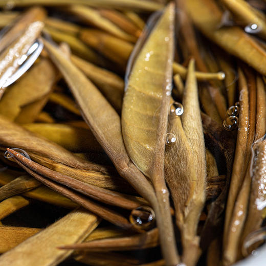 藏剑山庄 2021年福鼎白天鹅 白毫银针 357克！五送一 商品图6