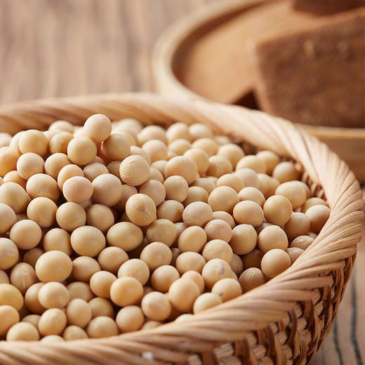 中粮初萃豆浆黄大豆1kg 商品图5