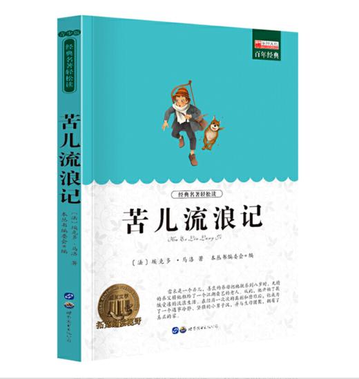 苦儿流浪记 商品图0