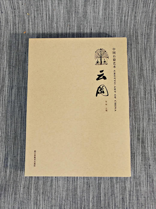 [精装版]中国石窟艺术-云冈 商品图4