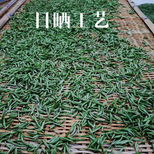 2021明前头摘白毫银针 传统炭焙足干 福鼎白琳镇高山核心产区 商品图12