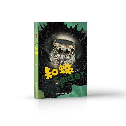《知蛛》蜘蛛科普图鉴 坪山图书奖获奖提名 海峡书局【官方正版 48小时发货】 商品图0