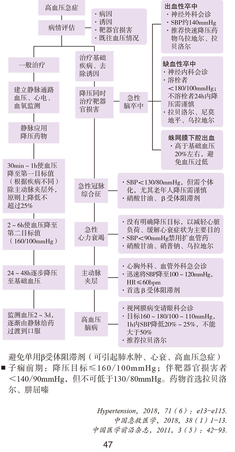 9787567916661-协和内科住院医师手册(第三版)值班-经典样张-12.jpg