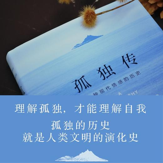 孤独传 一种现代情感的历史 费伊.邦德.艾伯蒂 著 心理学 商品图2