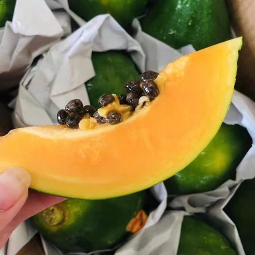 都乐木瓜非转基因菲律宾产绿油油的果肉金黄味道特别清甜营养丰富新鲜