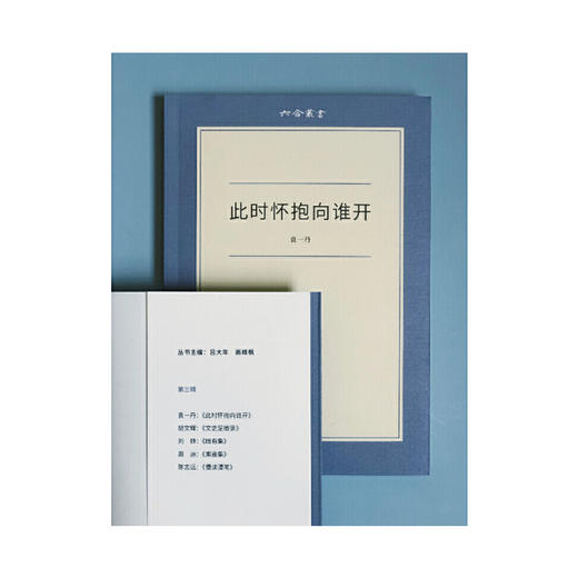 袁一丹《此时怀抱向谁开》 商品图2