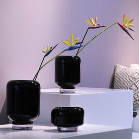 【零交会新款】加厚玻璃花瓶现货