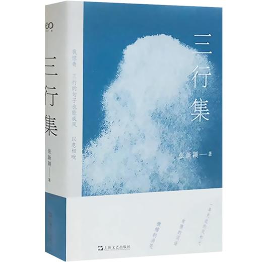 三行集 复旦大学中文系教授张新颖著中国当代诗集作品 另著沈从文的前半生/当代批评的文学方式/迷恋计 上海文艺出版社 商品图1