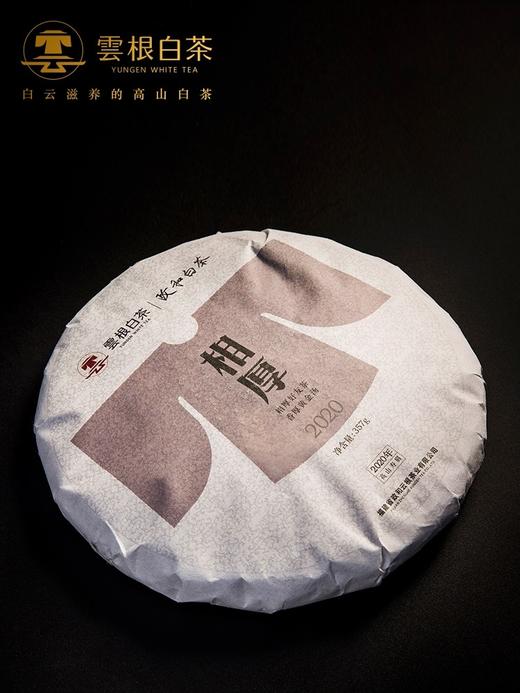 2020云根白茶相厚高山寿眉357g饼
