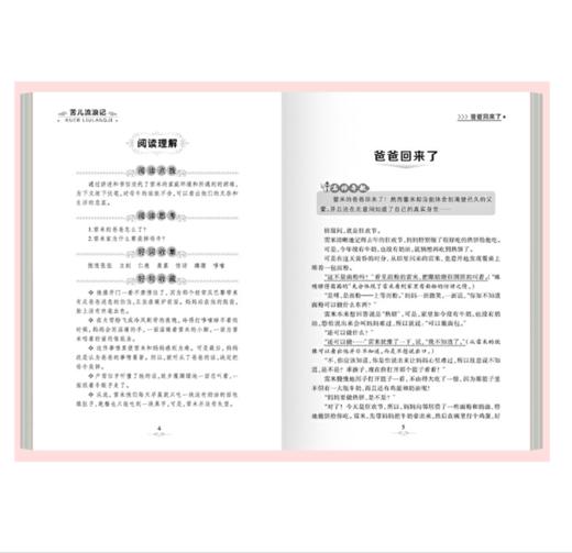 苦儿流浪记 商品图4