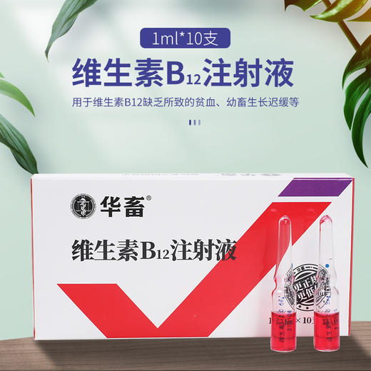 华畜维生素b12注射液10支装用于幼畜缺乏维生素b12所致的贫血生长迟缓