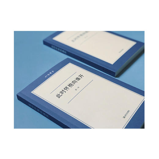 袁一丹《此时怀抱向谁开》 商品图0