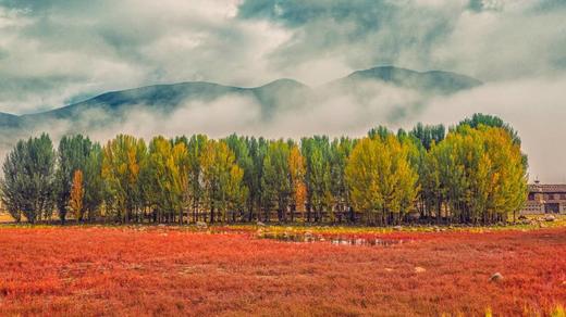 户外@【行摄稻亚】稻城亚丁/新都桥/墨石行摄6日游    越野商务4-7人小团   天天出发 商品图5