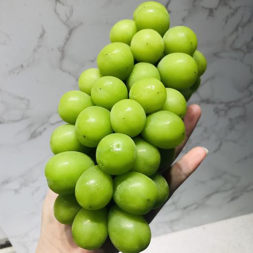 预售特级晴王中大果3串约5斤礼盒装脆甜可口香味浓郁风味十足