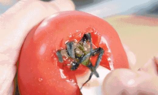 大厨妙招：西红柿如何快速去皮？ 商品图0