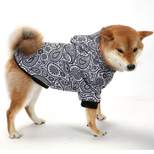 【狗狗服】狗狗衣服宠物卫衣腰果花中大犬舒适两脚衣服 商品图1