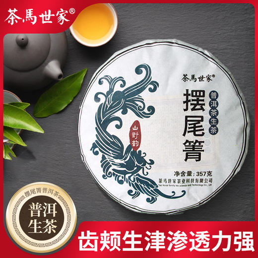 茶马世家摆尾箐生茶饼 云南古树普洱生茶357g 商品图0