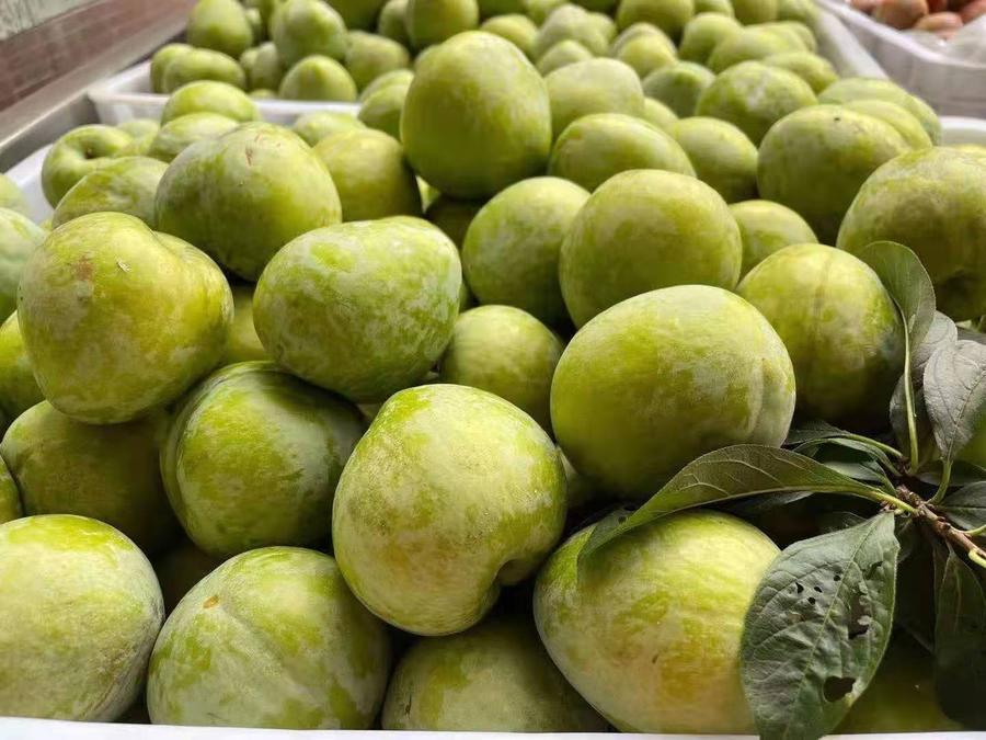 "林改第一县"福建武平东留微黄油奈李高海拔纯天然水果清甜可口不打蜡