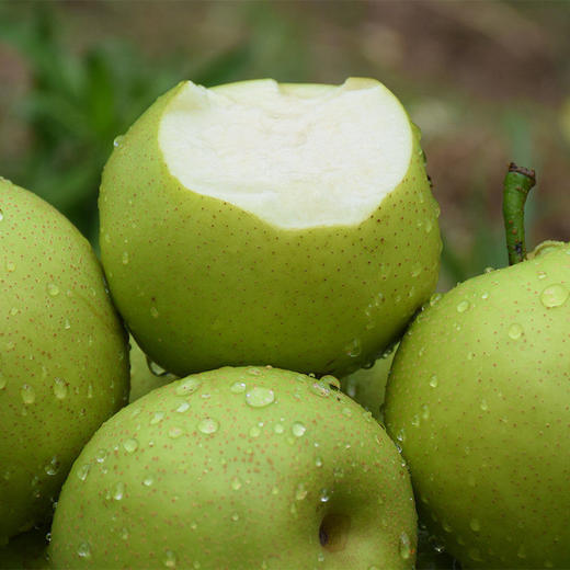 青皮梨 商品图1