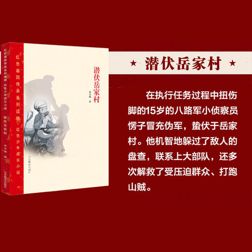 潜伏岳家村 商品图1