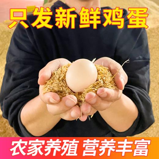 棒享  湖北宜昌橘园谷饲土鸡蛋40枚（单枚克重45g左右） 商品图4