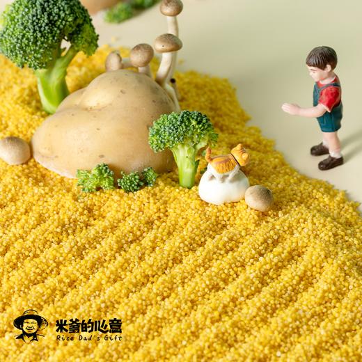 【米爹的心意】优质杂粮黄小米  米油丰富   真空锁鲜（500g*2袋） 商品图4